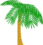 palmiye-hareketli-resim-0008