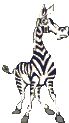 zebra-hareketli-resim-0003