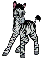 zebra-hareketli-resim-0023