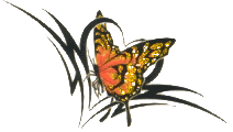 kelebek-hareketli-resim-0267