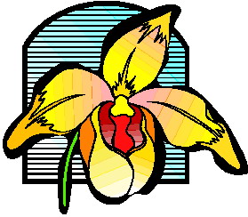 orkide-hareketli-resim-0010