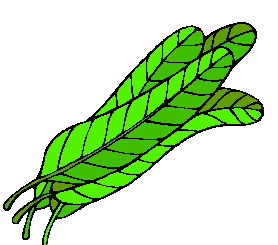 yaprak-hareketli-resim-0022