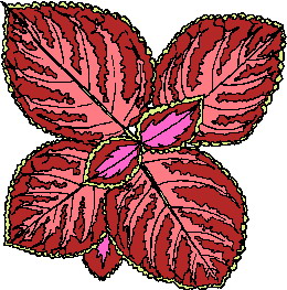 yaprak-hareketli-resim-0032