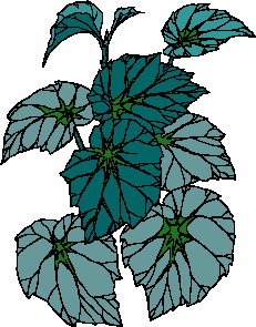 yaprak-hareketli-resim-0054