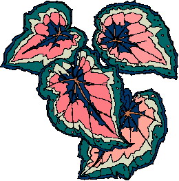 yaprak-hareketli-resim-0064