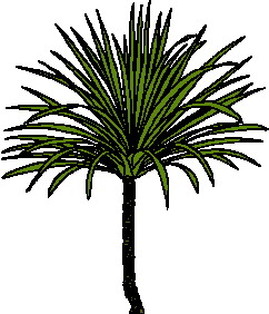 yaprak-hareketli-resim-0069