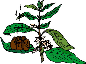 yaprak-hareketli-resim-0088