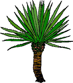 yaprak-hareketli-resim-0207