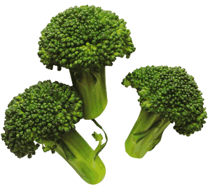 brokoli-hareketli-resim-0008