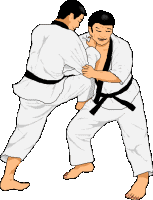 judo-hareketli-resim-0017