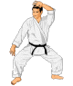 judo-hareketli-resim-0028