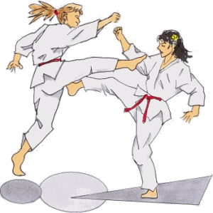 karate-hareketli-resim-0010