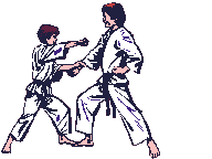 karate-hareketli-resim-0011
