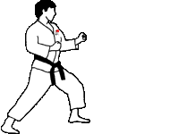 karate-hareketli-resim-0033