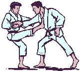 karate-hareketli-resim-0053