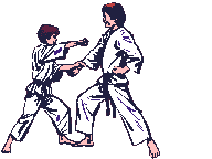 karate-hareketli-resim-0056
