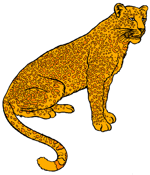 leopar-hareketli-resim-0025