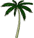 palmiye-hareketli-resim-0021