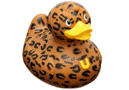 oyuncak-ordek-ve-rubber-duck-hareketli-resim-0039