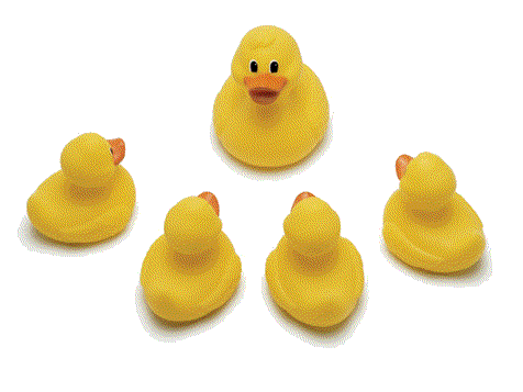 oyuncak-ordek-ve-rubber-duck-hareketli-resim-0138