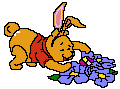 winnie-the-pooh-hareketli-resim-0227