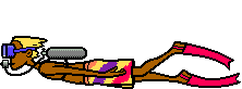 dalis-hareketli-resim-0056