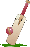 kriket-hareketli-resim-0006