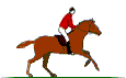 ata-binme-hareketli-resim-0056