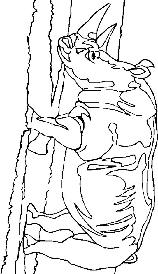 boyama-sayfasi-gergedan-hareketli-resim-0004