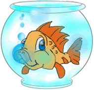 balik-hareketli-resim-0112