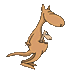 kanguru-hareketli-resim-0005