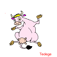 inek-hareketli-resim-0269