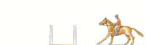 at-hareketli-resim-0351