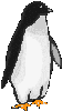 penguen-hareketli-resim-0024