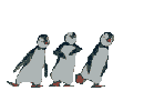 penguen-hareketli-resim-0051