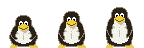 penguen-hareketli-resim-0110