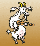 keci-hareketli-resim-0058