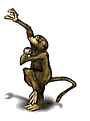 sempanze-hareketli-resim-0015