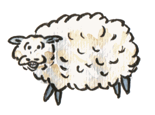 koyun-hareketli-resim-0053