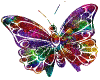 kelebek-hareketli-resim-0185