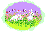 tavsan-hareketli-resim-0121