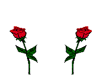 gul-hareketli-resim-0059
