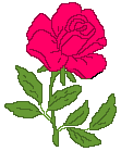 gul-hareketli-resim-0169