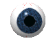 goz-hareketli-resim-0241