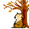 rakun-hareketli-resim-0007