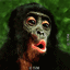 eglenceli-avatar-hareketli-resim-0118
