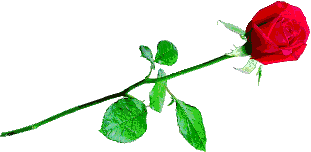 cicek-hareketli-resim-0127