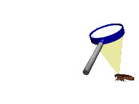 karafatma-hareketli-resim-0011