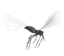 sivri-sinek-ve-tatarcik-hareketli-resim-0010
