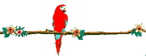 papagan-hareketli-resim-0074
